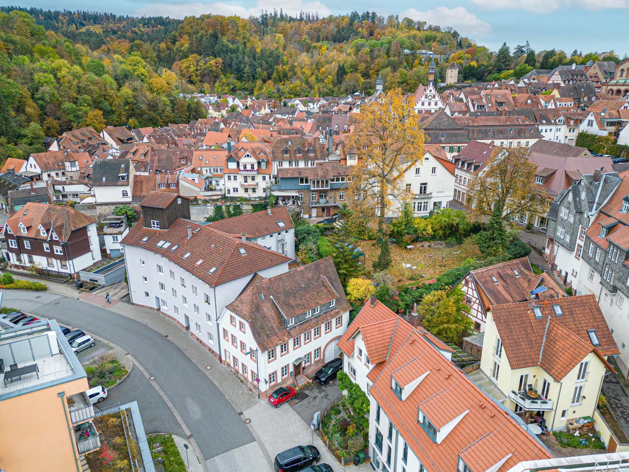 Lit Living Weinheim Altstadt - Boutique Apartments - Parking Dış mekan fotoğraf